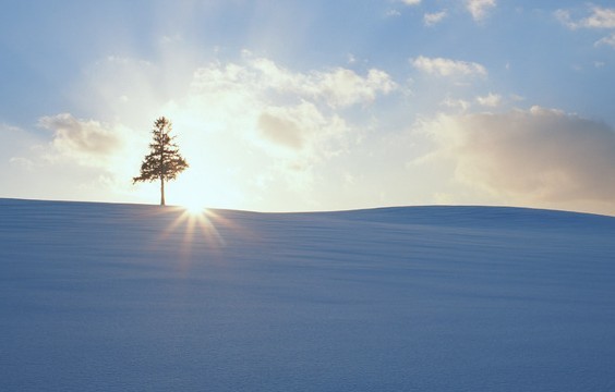 1583147853882685.jpg u=1919755631,233242150&fm=214&gp=0.jpg